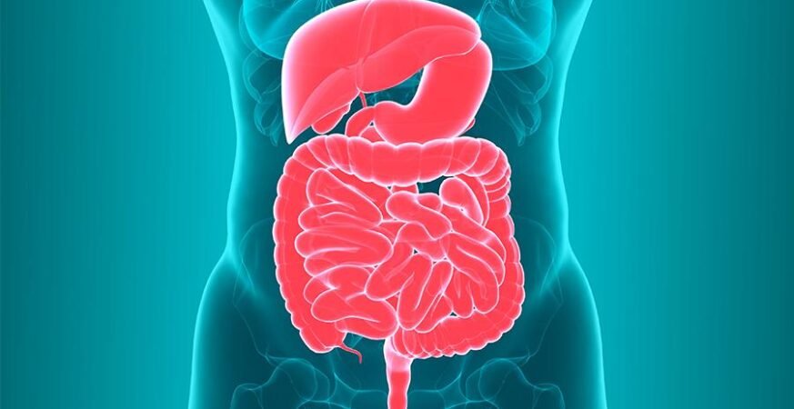 What Your Gut Is Trying to Tell You, According to a Gastroenterologist