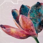 The Fastest, Strongest, and Best in Sports History