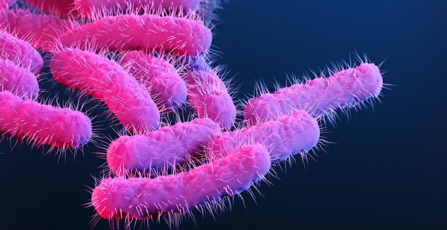 Rotavirus and Shigella Infections