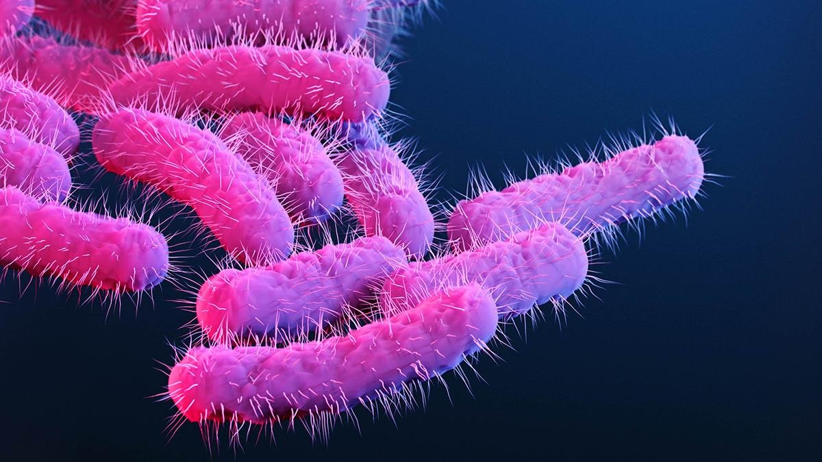 Rotavirus and Shigella Infections