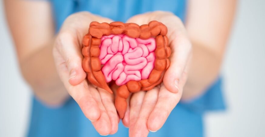 Is Your Gut Actually Fine