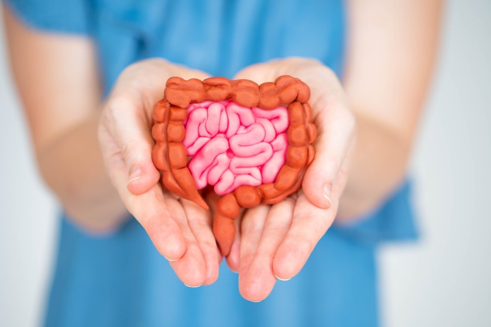 Is Your Gut Actually Fine